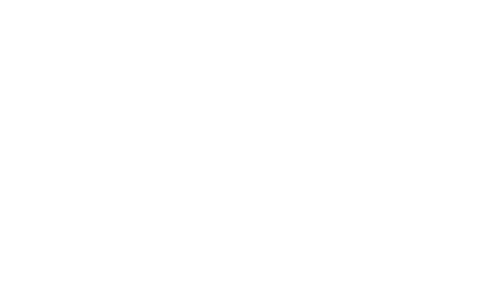 FESTIVAL SCOPE