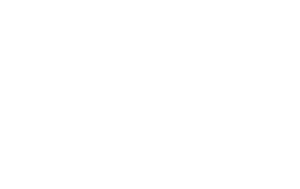 FESTIVAL SCOPE